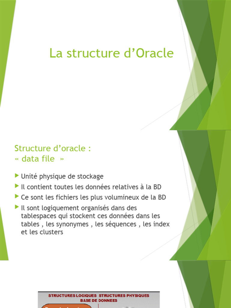 Structure des données dans Oracle | PDF | Technologie et ingénierie