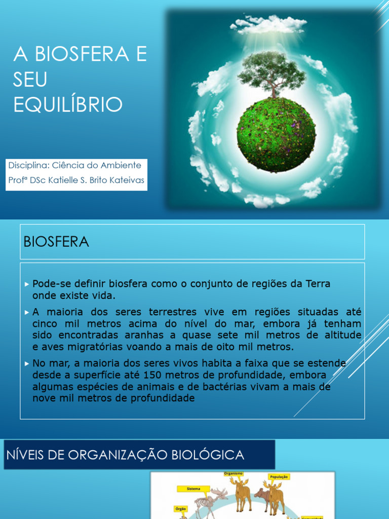 A Biosfera e Seus Componentes Essenciais | PDF | Terra | Ambiente natural