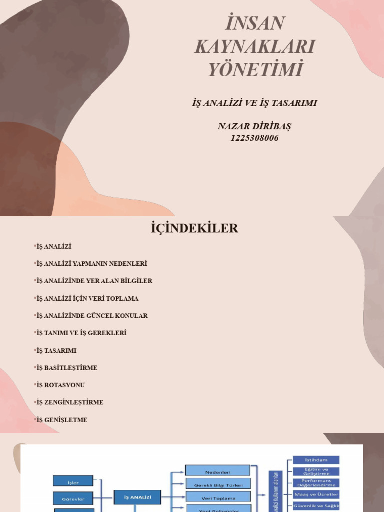 Insan Kaynakarı | PDF