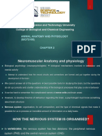 CHAP 2 Neuromuscular Anatomy and Physiology