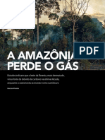 A Amazônia Perde o Gás