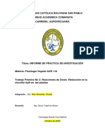 Guia de Informe Practica REDOX II-2024 - Editado