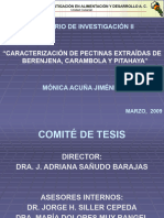 Seminario de Investigación II 2009