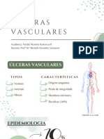 Úlceras Vasculares
