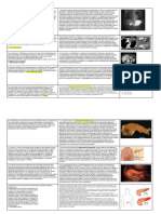 Documento Sin Título