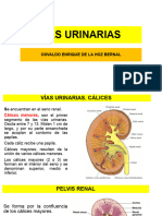 159. VÍAS URINARIAS