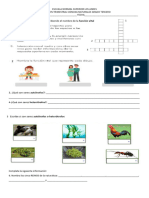 Evaluacion Ciencias Naturales 3 Trimestre 1