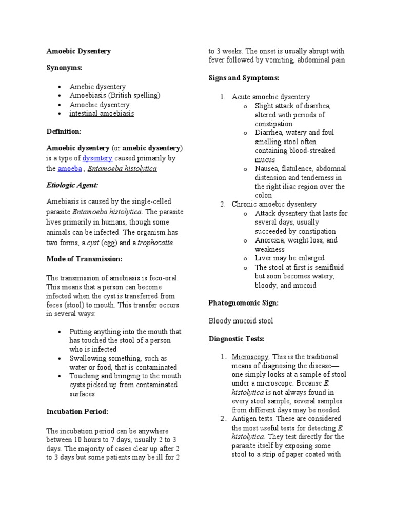 Amoebic Dysentery Report | Diseases And Disorders | Epidemiology