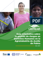 Guia Orientativa Sobre La Gestios de Riesgos de DDHH en Palmicultura