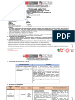 Programa Analitico Computacion D1 Mañana A