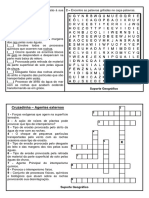 Cruzadinha e Caça-Palavra Agentes Externos