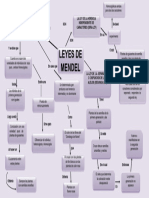 Mapa Conceptual de Las Leyes de Mendel 2