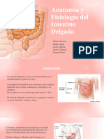Gastroenterologia ID