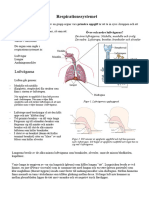 Genomgång Respirationssystemet