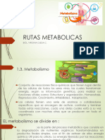 RUTAS METABOLICAS 2023