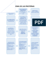 Esquema de Las Proteínas