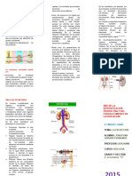 Triptico EXCRECIÓN