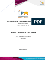 Anexo 1 - Formato 3 - Proyección de La Ruta Formativa