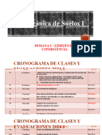 SEMANA 5-LIMITES DE CONSISTENCIA 14.04.24