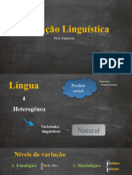 Aula - Variação Linguística