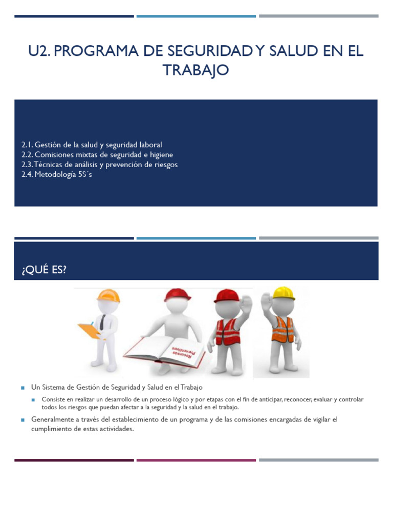 Programa de Seguridad y Salud Laboral | PDF | Valores | Higiene Ocupacional