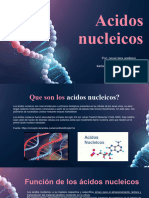 Acidos Nucleicos