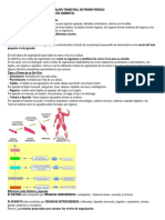 Niveles de Organización - Material de Estudio