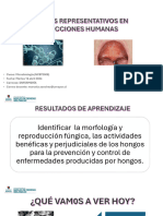 Hongos Representativos en Infecciones Humanas I ENF 16 Abril 2024