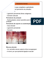 periodonto normal ( periodontia)