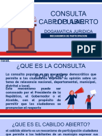 DOGMATICA - Cabildo y Consulta Popular