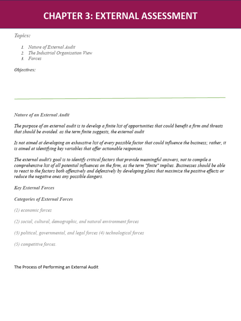 External Audit | PDF | Finance & Money Management