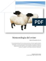 El Estudio Aborda La Aplicación de Biotecnologías Reproductivas en Ovinos Con El Objetivo de Mejorar Genéticamente Los Rebaños