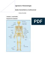 Unidad 1 Anatomia Osea