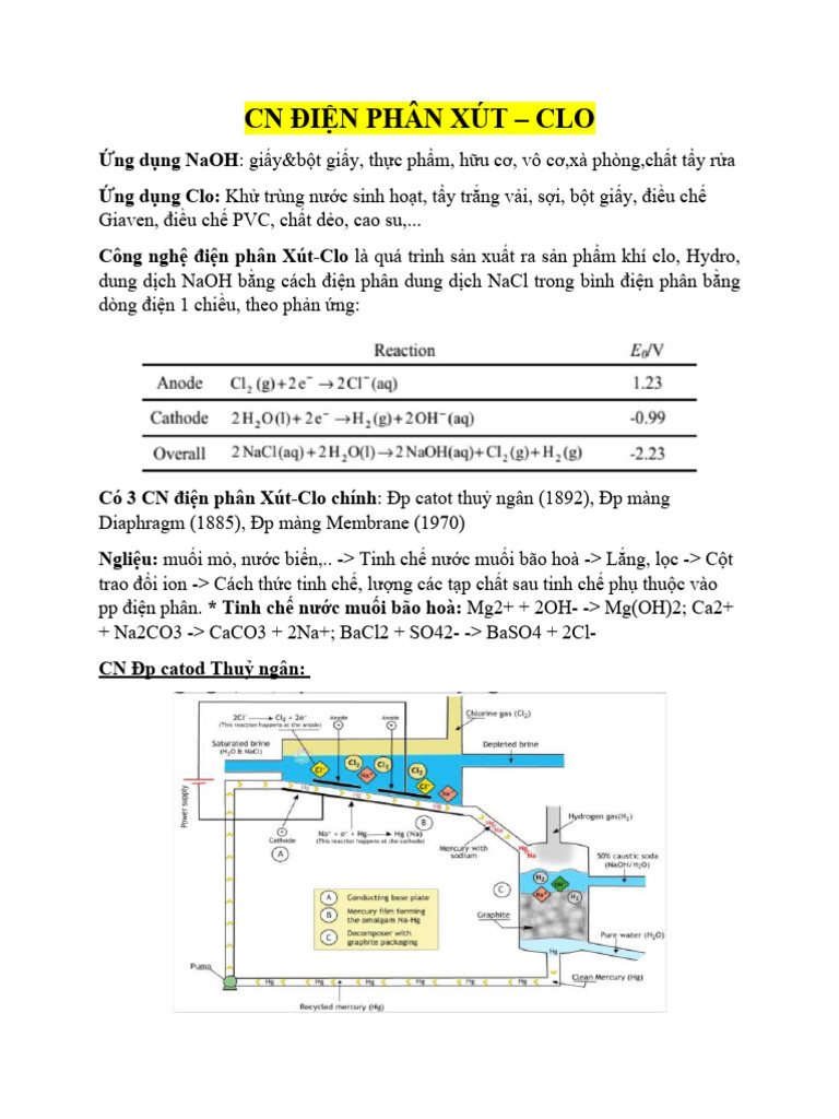 Ôn tập - CNĐP XÚT-CLO | PDF
