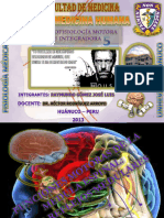 3.1neurofisiologiamotoraeintegradora 131009094438 Phpapp02 (1) Aec794627e668a7599c7e0193dc56710