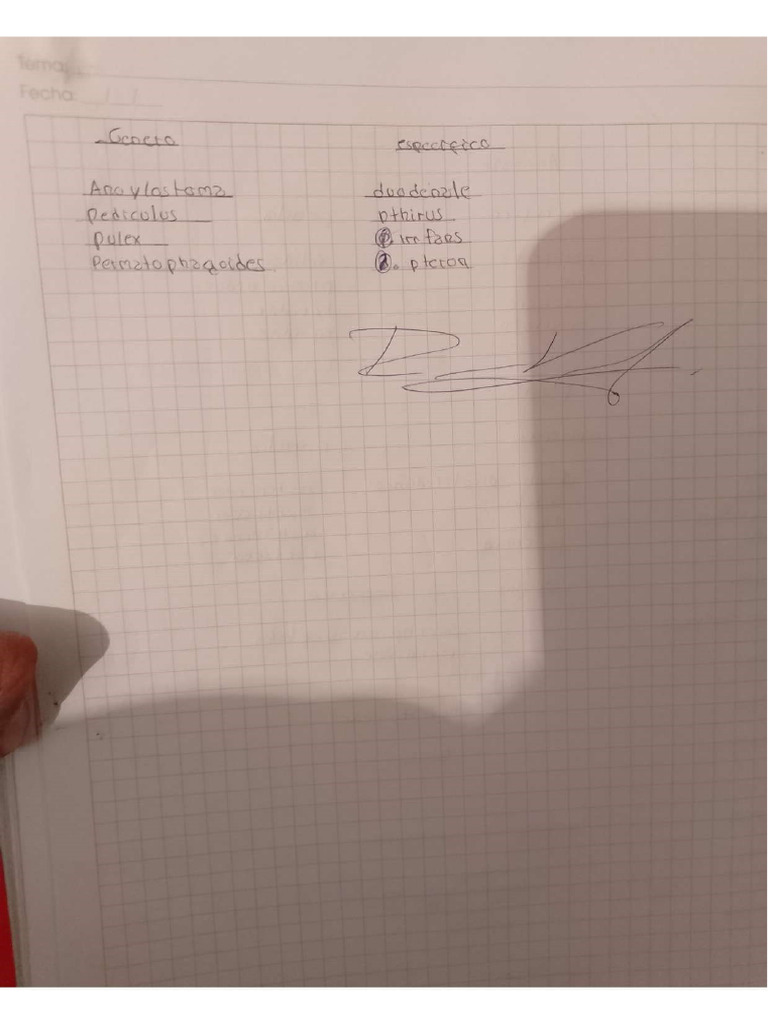 Clasificacion De Los Seres Vivos Pdf