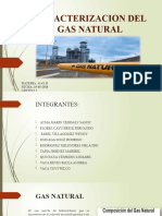 Caracterizacion Del Gas Natural
