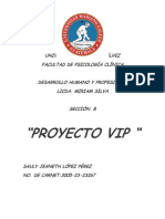 Proyecto Vip