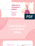 Anatomia de fosas nasales y faringe 