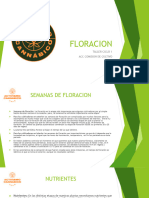 Taller 5 - Etapa de Floración