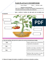 GUÍA PLANTAS Y FOTOSÍNTESIS