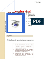 La_percepcion_visual-tema1_version_office_2003