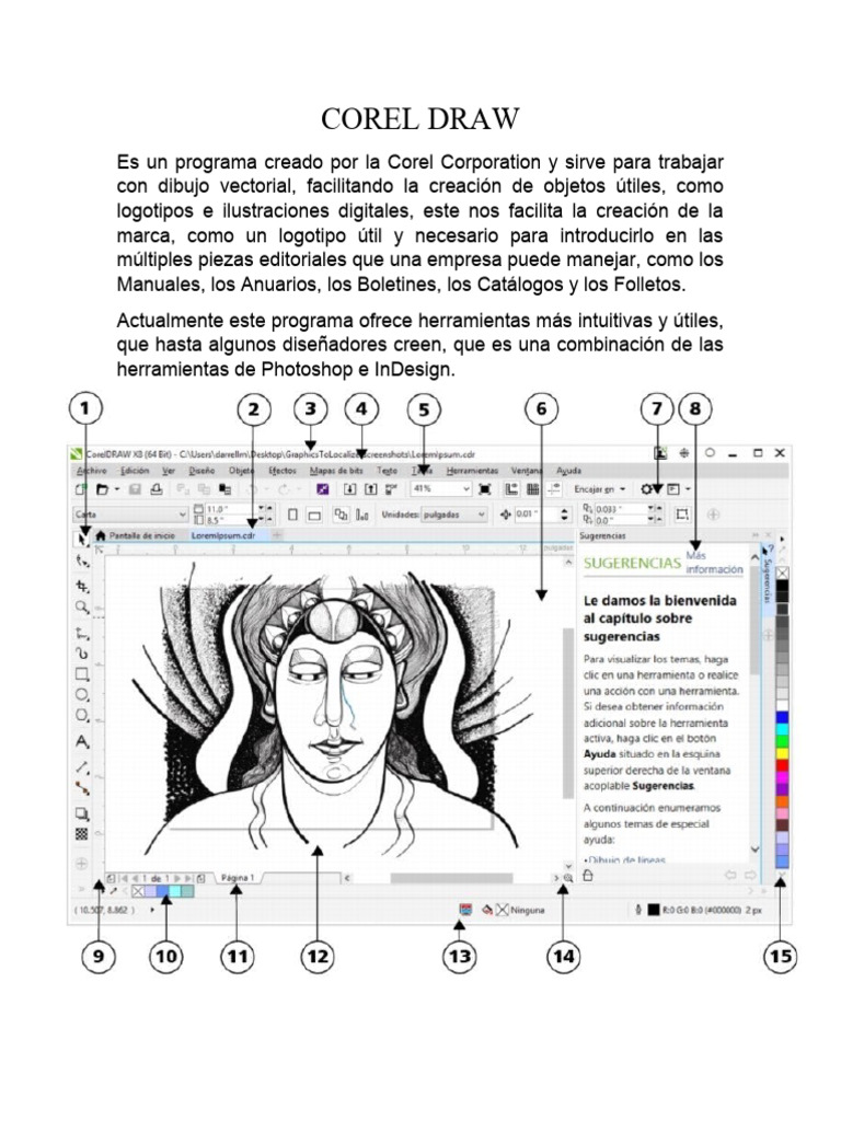 Partes de la ventana de Corel Draw | PDF | Ventana (informática) | Dibujo