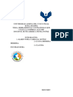UNIVERSIDAD ANDINA DEL CUSCO FILIAL QUILLABAMBA (1).docx