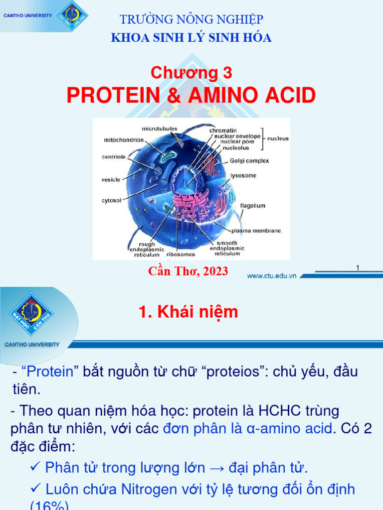 Chapter 3 Protein Amino Acid Pdf