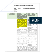 Cuadro Analisis General de Ecosistemas Antropizados