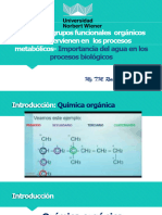 Semana 1 Principales Grupos Funcionales en Los Procesos Metabolicos