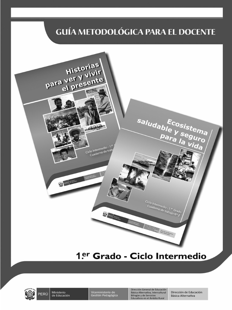 Guía Metodológica para El Docente. Cuaderno de Trabajo #1 y #2. Primer ...
