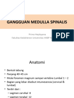 Kuliah Medula Spinalis