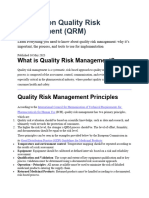 A Guide On Quality Risk Management